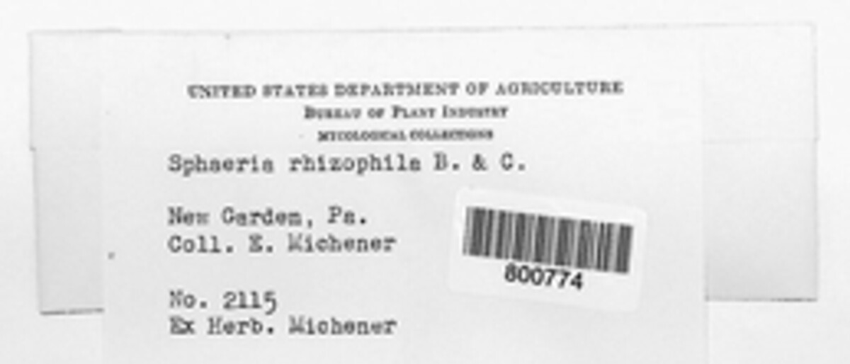 Sphaeria rhizophila image